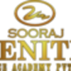 Zenith Dance Academy (1)